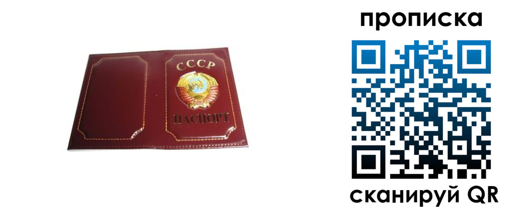 прописка гарантия в Гвардейске